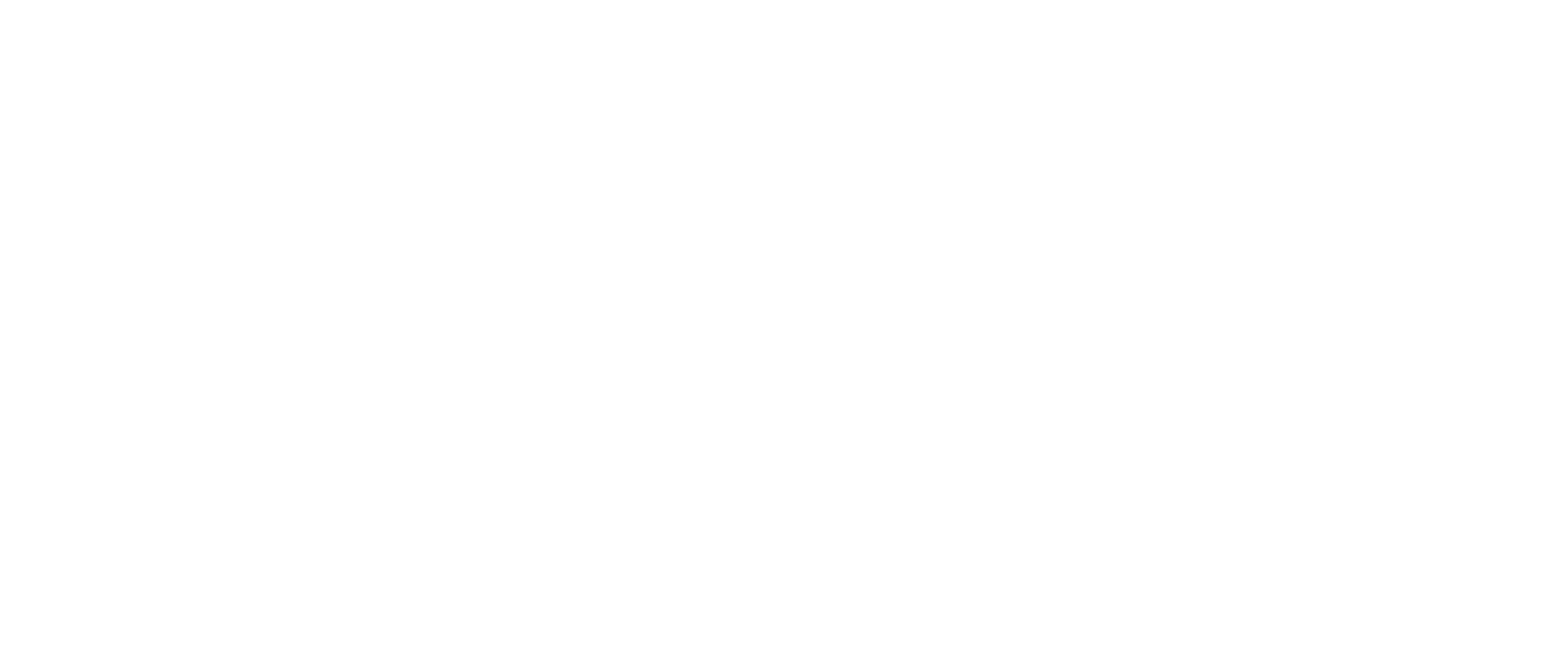 J & L Shopping Store